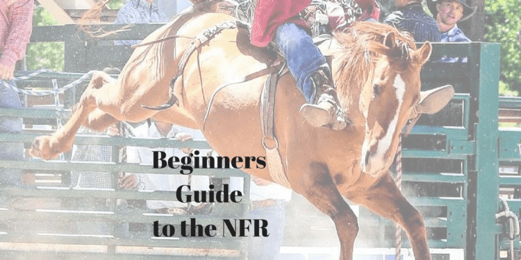 NFR For Beginners