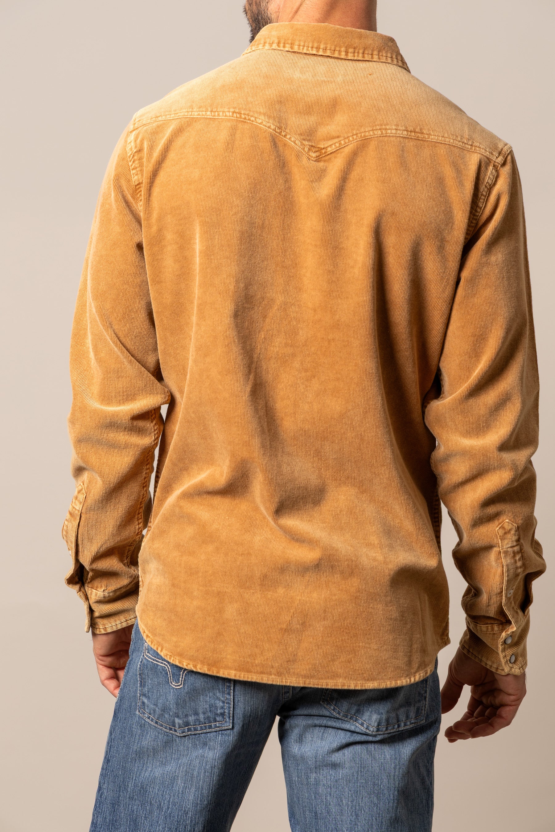 #color_mustard