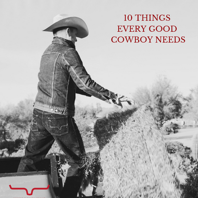 10 Things Every Good Cowboy Needs