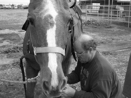 5 Reasons to Love Horseshow Dads