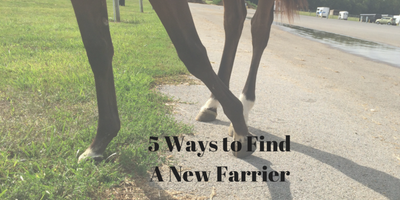 5 Ways to Find a New Farrier
