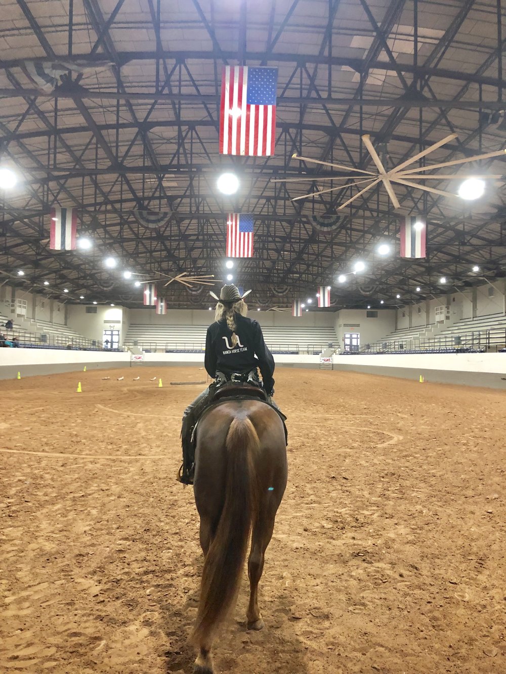 American Stock Horse Association - National Collegiate Championship Show