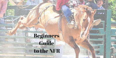 NFR For Beginners
