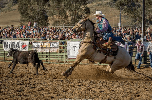The Roller Coaster of Rodeo | Kimes Ranch