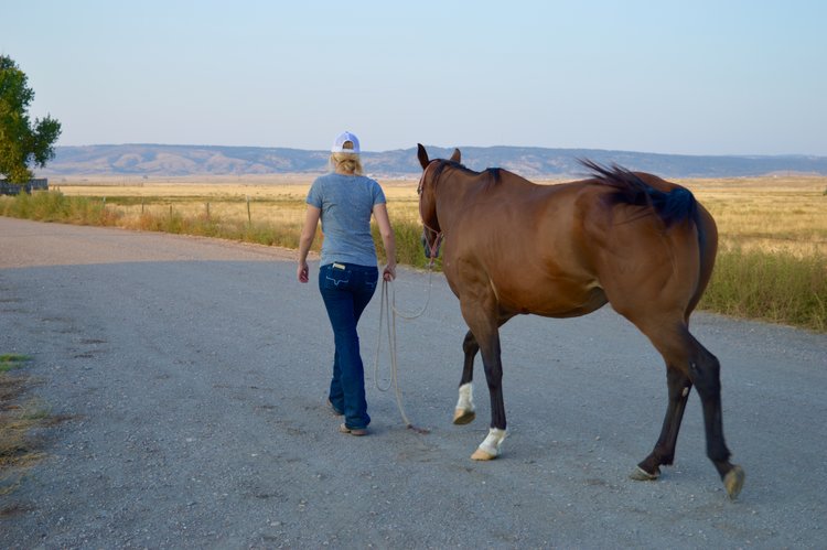 What Ranching is Really All About