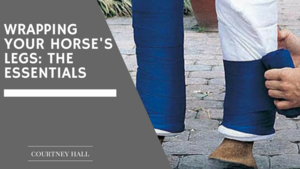 Wrapping Your Horse’s Legs: The Essentials
