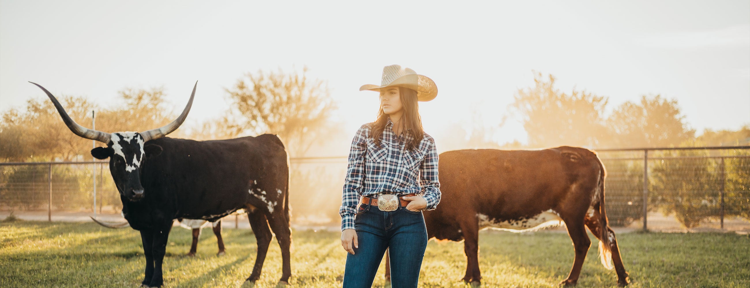 Women's Button Down Shirts