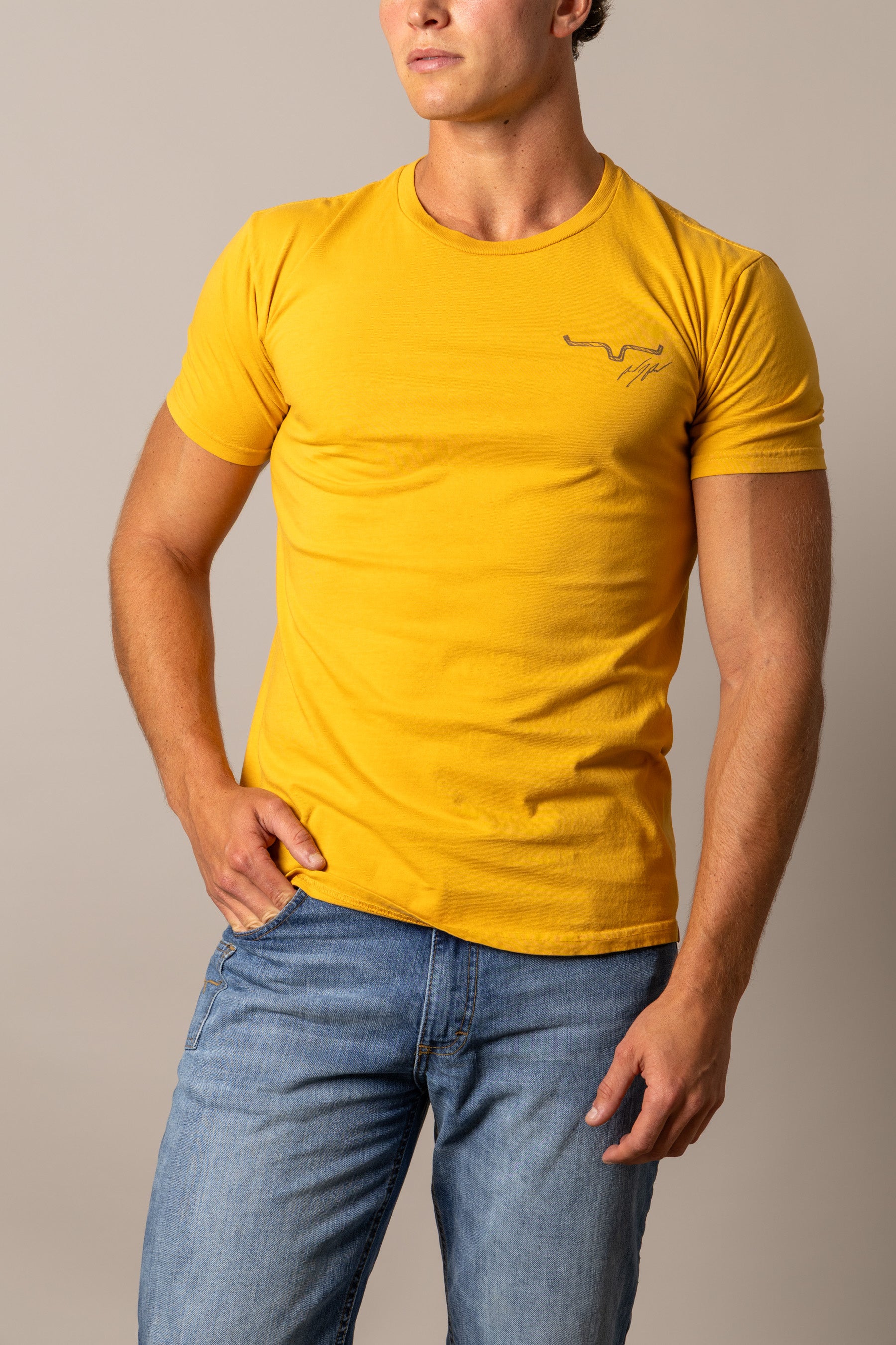 #color_yellow ochre