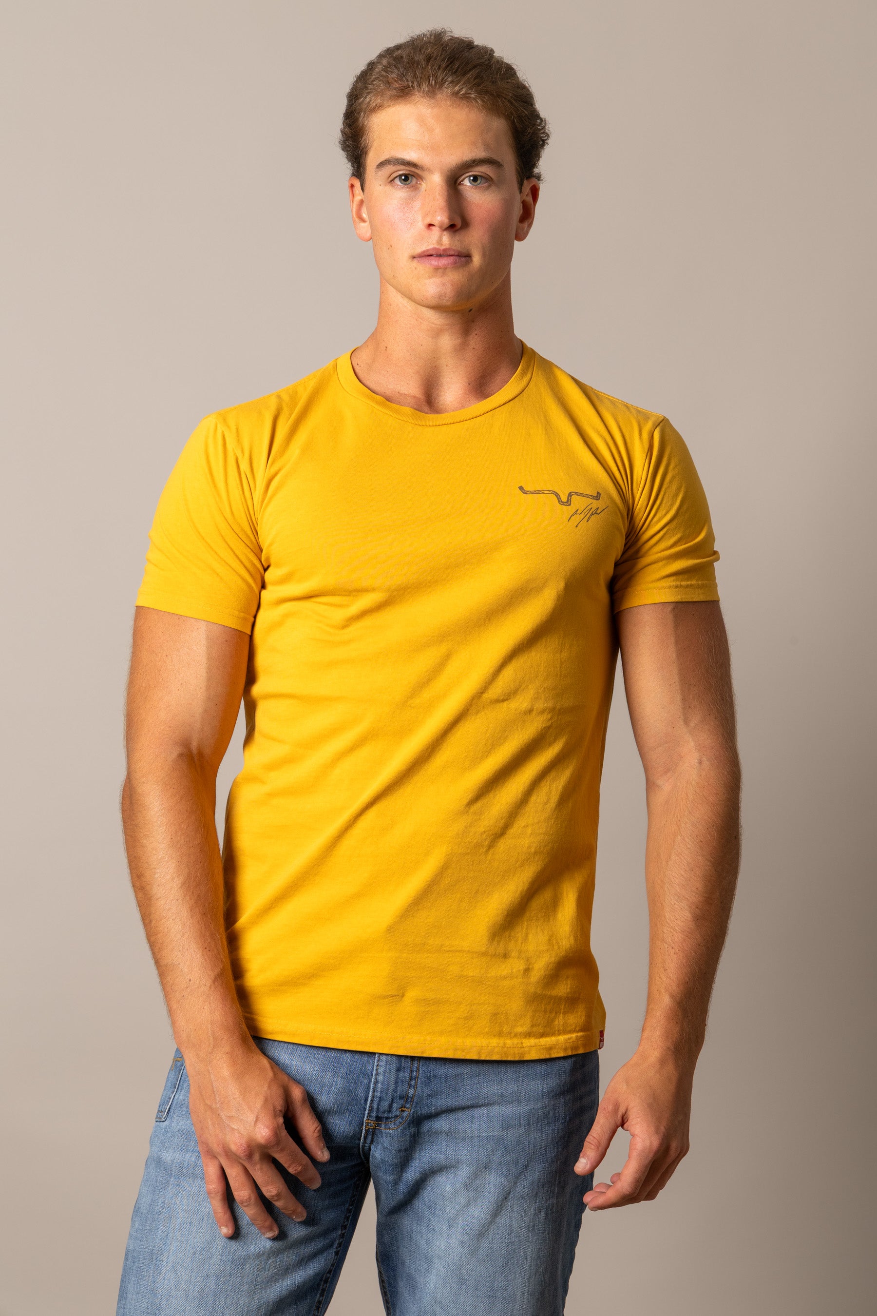 #color_yellow ochre