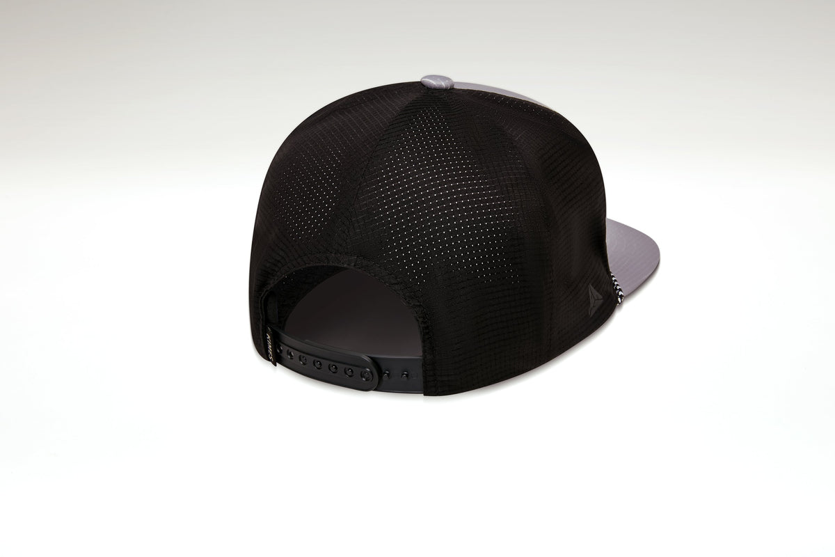 Tasso_Grey_3